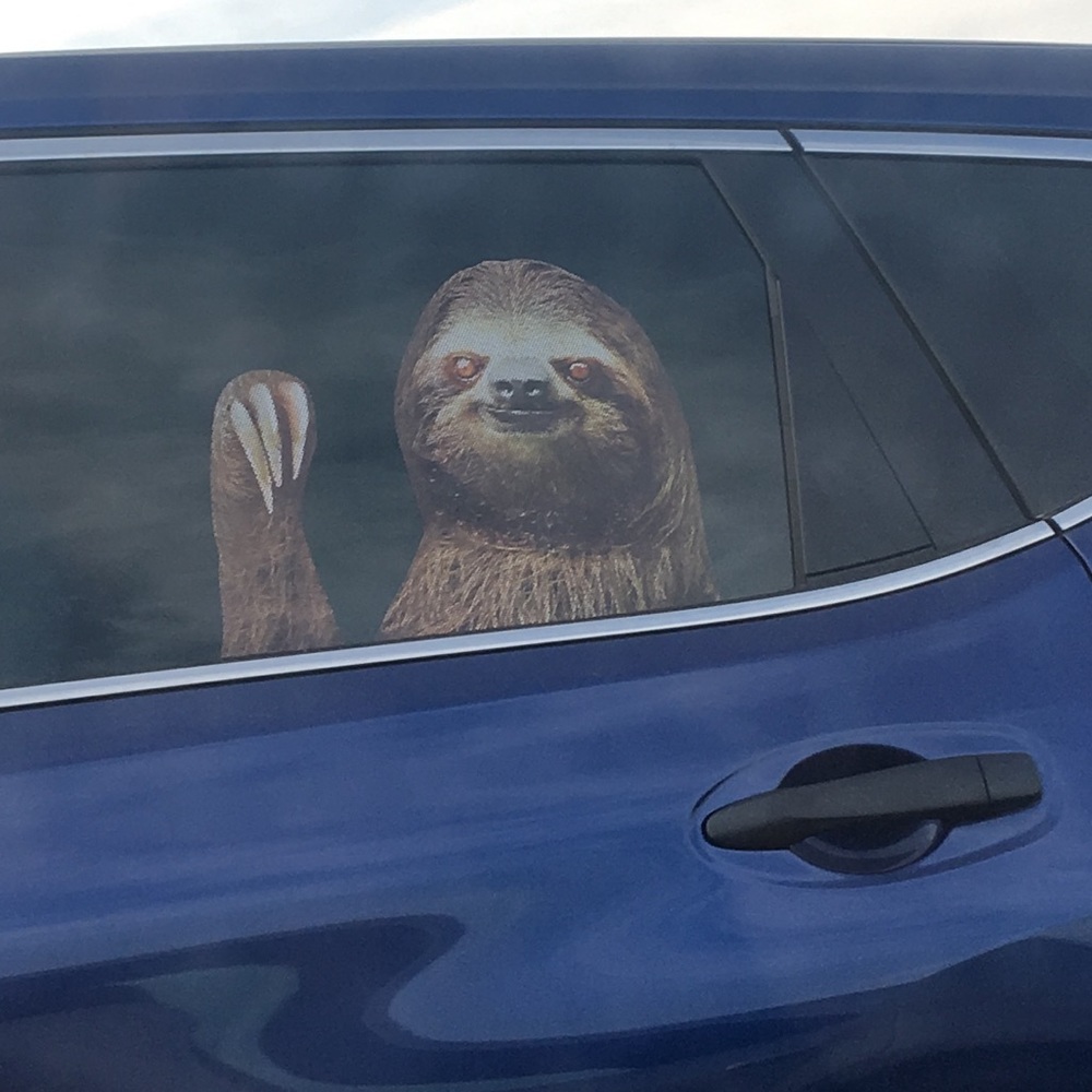 Meet your Posher, Tamra